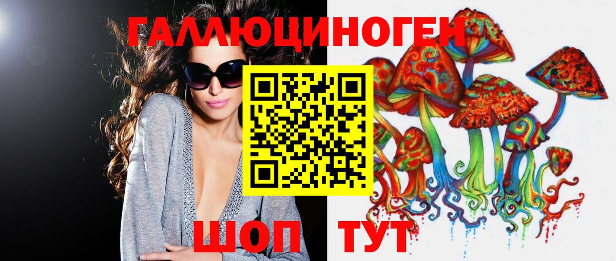 Псилоцибиновые грибы GOLDEN TEACHER Кировск